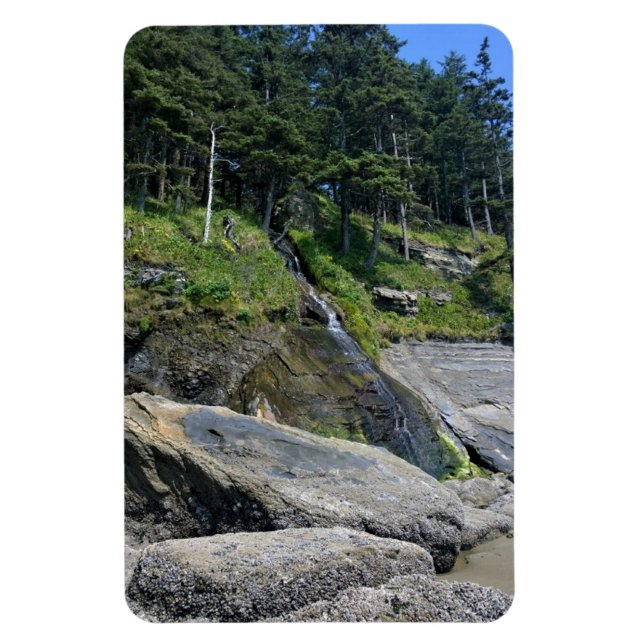 Magnet Flexible Oswald West State Park, Oregon Coast (Vertical)