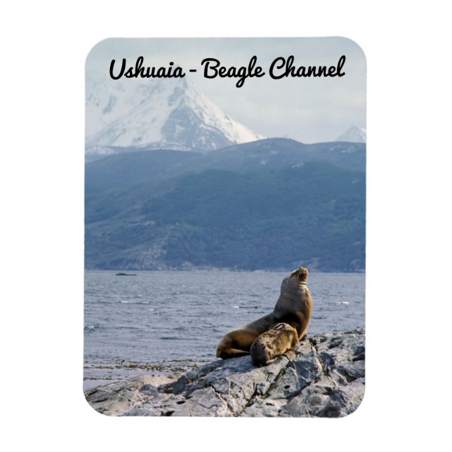 Magnet Flexible Otaries dans le canal de Beagle - Argentine (Vertical)