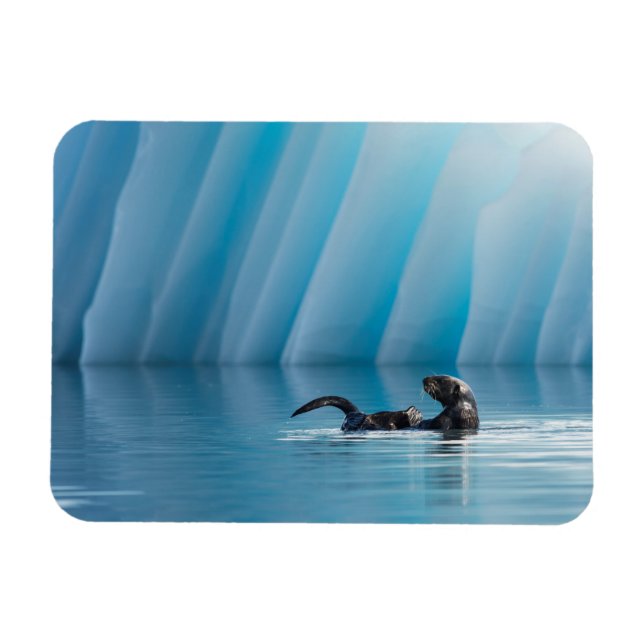 Magnet Flexible Otter de mer joueuse (Horizontal)