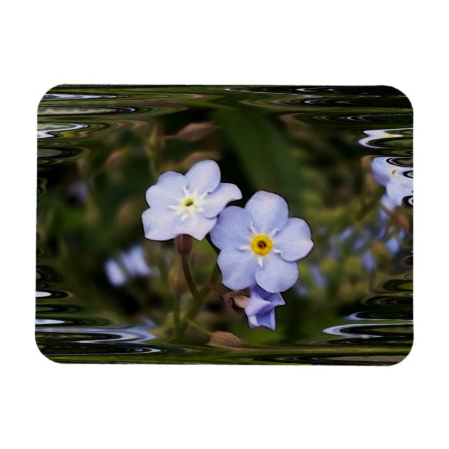 Magnet Flexible Oublie-moi pas les fleurs (Horizontal)