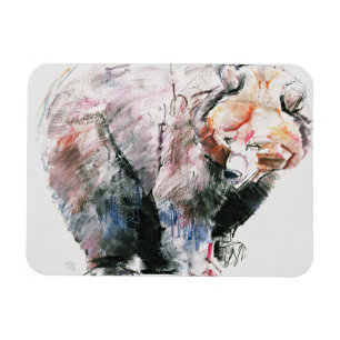 Magnet Flexible Ours