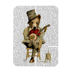 Magnet Flexible Ours de banjo
