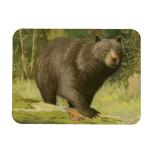Magnet Flexible Ours noir faisant un pas sur un tronc d'arbre