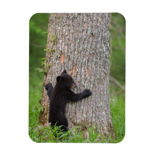 Magnet Flexible Ourson noir | Grandes Montagnes fumées (Vertical)
