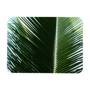 Magnet Flexible Overlapping Palm Fronds Tropical Green Abstract