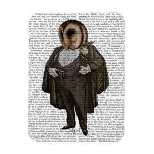 Magnet Flexible Owl à l'opéra