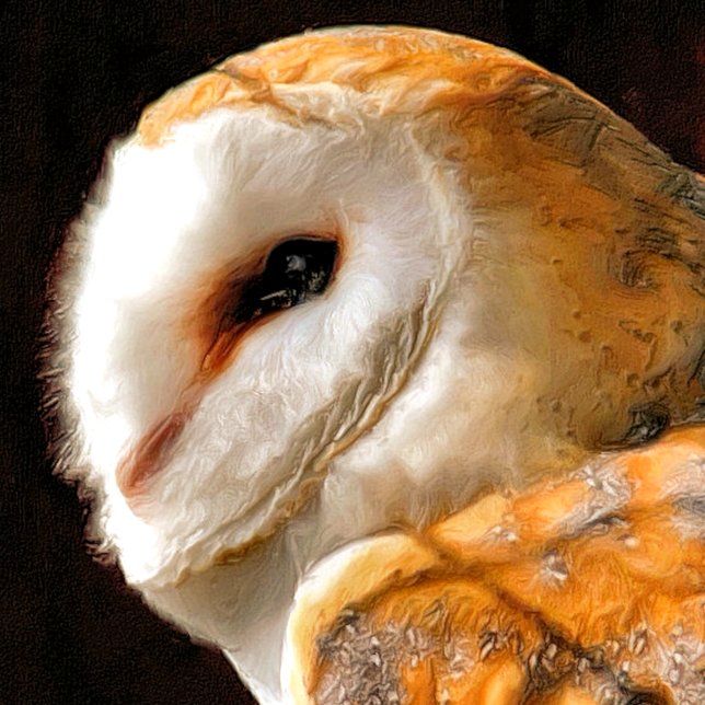 MAGNET FLEXIBLE OWLS (A beautiful soft artistic watercolor of a Barn Owl.)