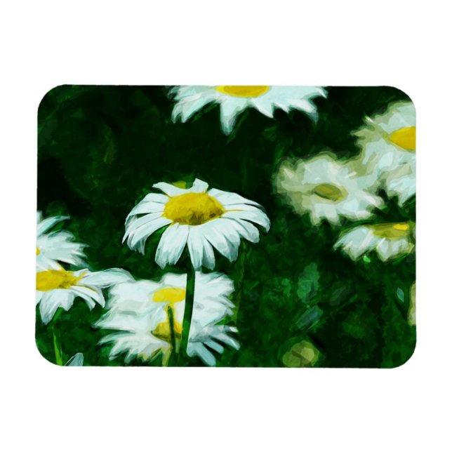 Magnet Flexible Oxeye White Daisies Impressionnisme Abstrait (Horizontal)