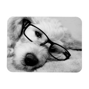 Magnet Flexible Oxyde d'or avec lunettes