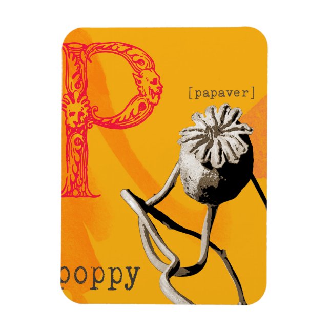 Magnet Flexible P est pour le pavot (Vertical)