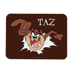 Magnet Flexible Page de gravure de TAZ™