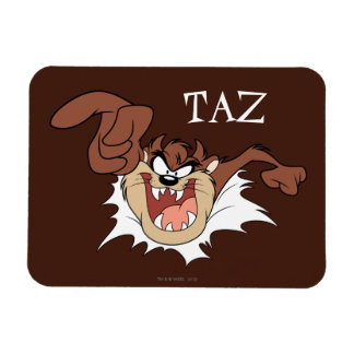 Magnet Flexible Page de gravure de TAZ™