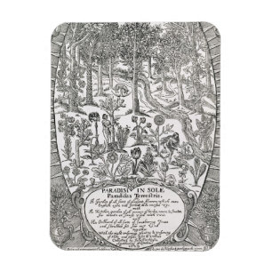 Magnet Flexible Page titre 'de semelle paradisi ; Paradisus