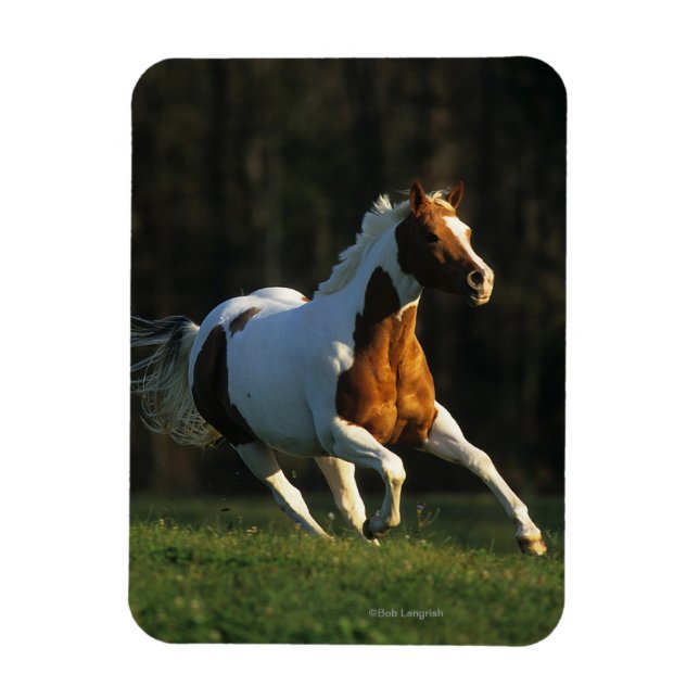 Magnet Flexible Paint Horse Running Fast (Vertical)