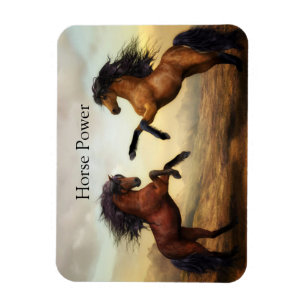 Magnet Flexible paire de chevaux sauvages