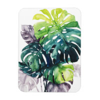 Palmiers à crémaillère - Feuille fractionnée