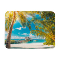 Palmiers au coucher du soleil