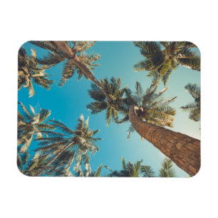 Magnet Flexible Palmiers au cru tropical de plage