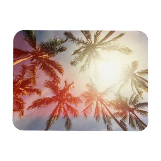Magnet Flexible Palmiers de coco contre le soleil (Horizontal)