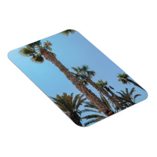 Magnet Flexible Palmiers d'été