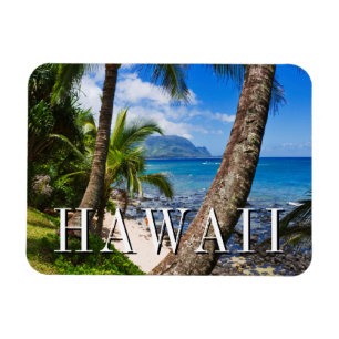 Magnet Flexible Palmiers le long de Hideaways Beach