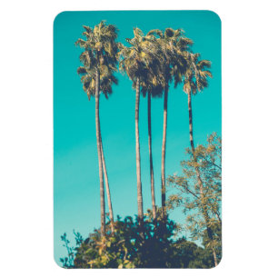 Magnet Flexible Palmiers tropicaux Californie Retro Vibe