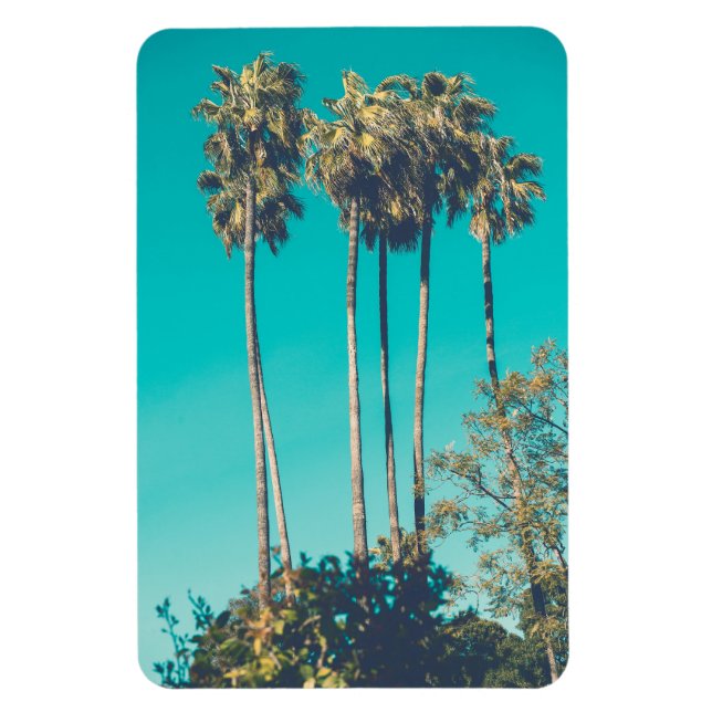 Magnet Flexible Palmiers tropicaux Californie Retro Vibe (Vertical)