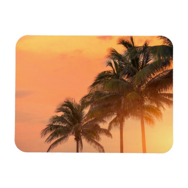 Magnet Flexible Palms de Miami (Horizontal)