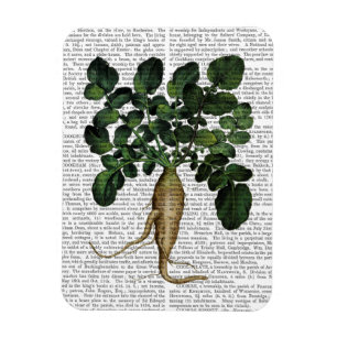 Magnet Flexible Panais 1