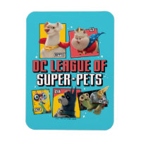 Panneaux de caractères DC League of Super-Pets