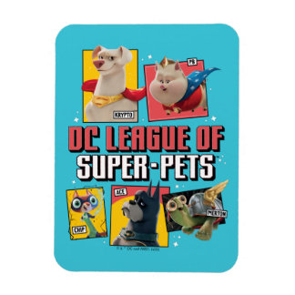 Magnet Flexible Panneaux de caractères DC League of Super-Pets