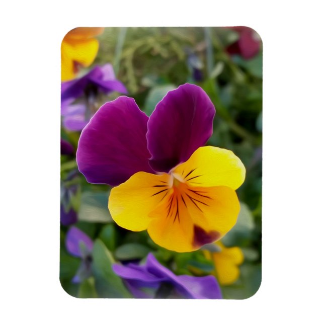 Magnet Flexible Pansies lumineuses (Vertical)