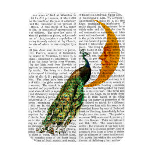 Magnet Flexible Paon sur la lune