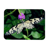 Paperkite blanc papillon