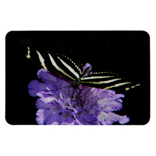 Magnet Flexible Papillon à aile longue Zebra