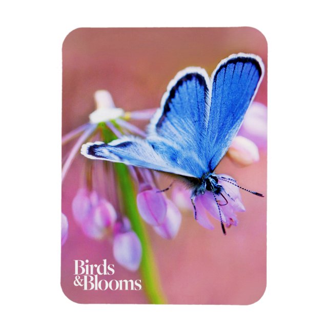 Magnet Flexible Papillon Azure (Vertical)