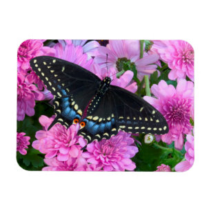 Magnet Flexible Papillon damier de Baltimore