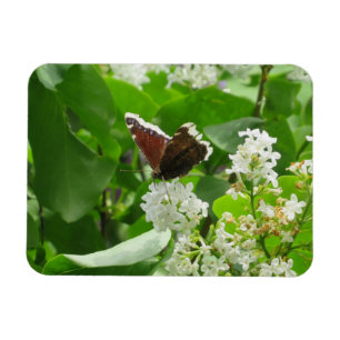 Magnet Flexible Papillon et aimant Lilac de printemps