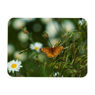 Magnet Flexible Papillon Fritillaire du Pacifique