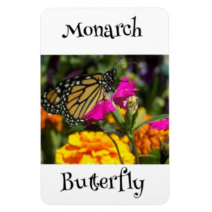 Magnet Flexible Papillon monarque