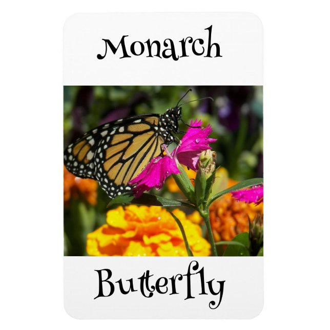 Magnet Flexible Papillon monarque (Vertical)