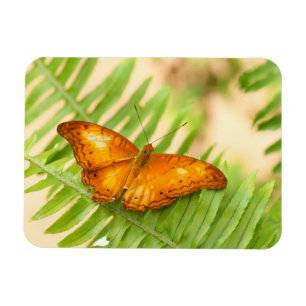 Magnet Flexible Papillon orange Crusier