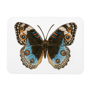 Magnet Flexible Papillon Pansy Bleu