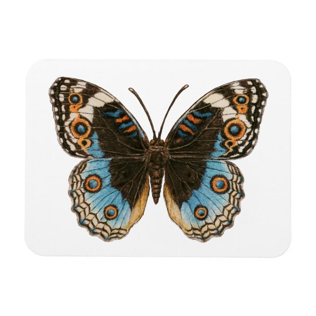 Magnet Flexible Papillon Pansy Bleu (Horizontal)