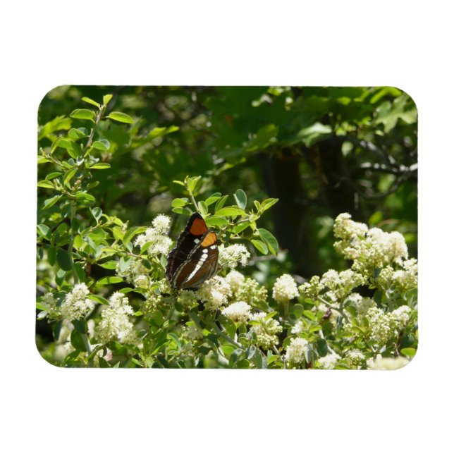 Magnet Flexible Papillon-soeur de Californie en Yosemite (Horizontal)