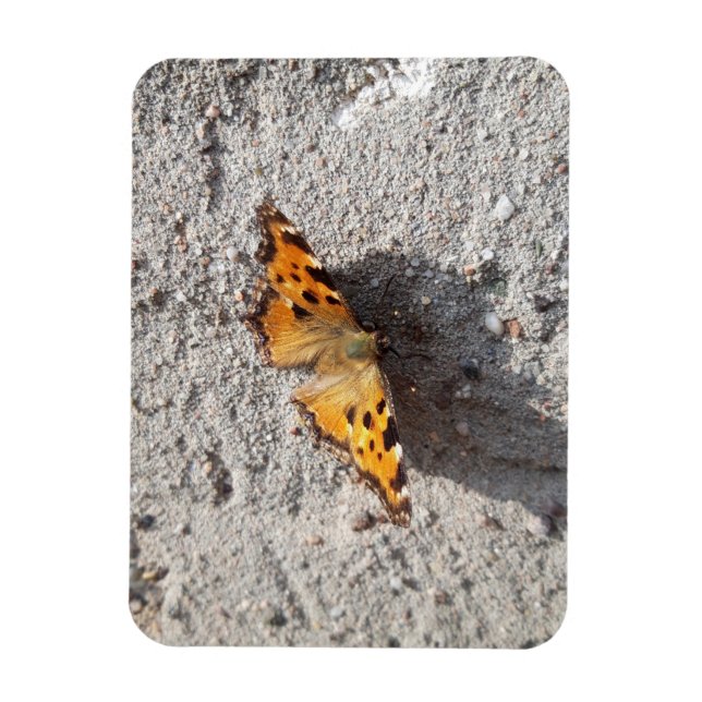 Magnet Flexible Papillon sous le soleil (Vertical)