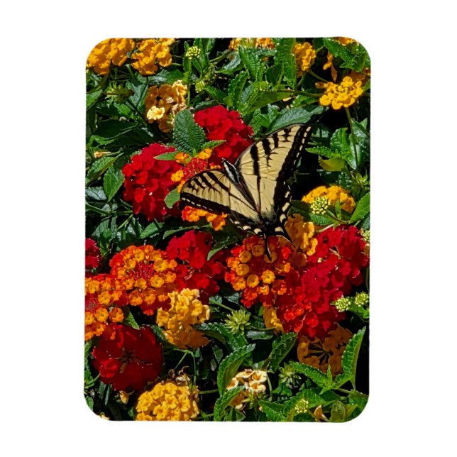 Magnet Flexible papillon swallowtail jaune fleurs orange & rouges  (Vertical)