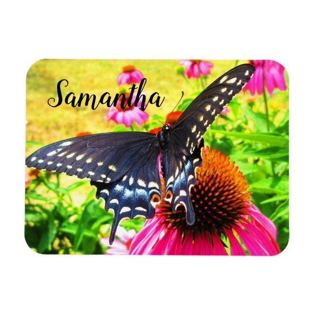 Magnet Flexible Papillon swallowtail noir sur fleurs d'échinacée r (Horizontal)