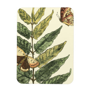 Magnet Flexible Papillons et Feuilles avec cadre noir
