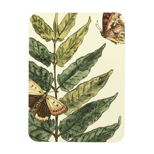 Magnet Flexible Papillons et Feuilles avec cadre noir (Vertical)